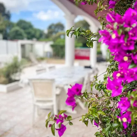 Shirley - For 10 Pool Terrace - By Tgb * Cuttoli-Corticchiato